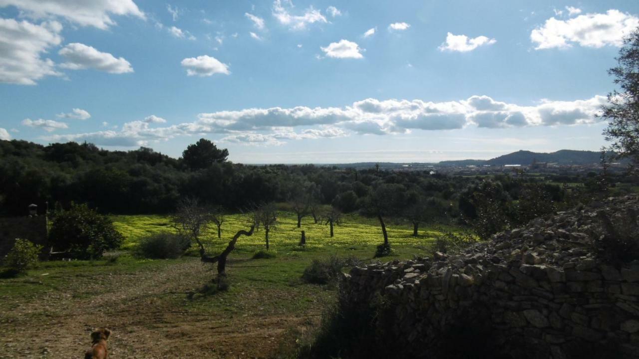 Sa Comella Porreres Esterno foto